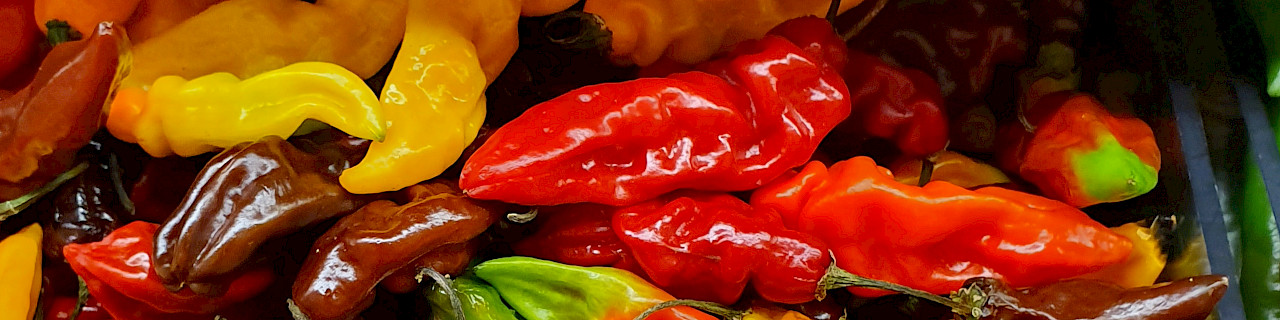 Chillies at the supermarket